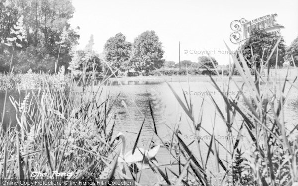 Photo of Storrington, The Pond c.1955