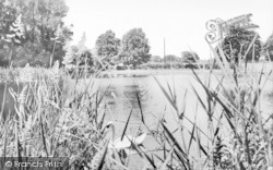 The Pond c.1955, Storrington