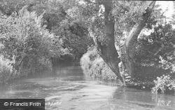 The River c.1955, Stotfold