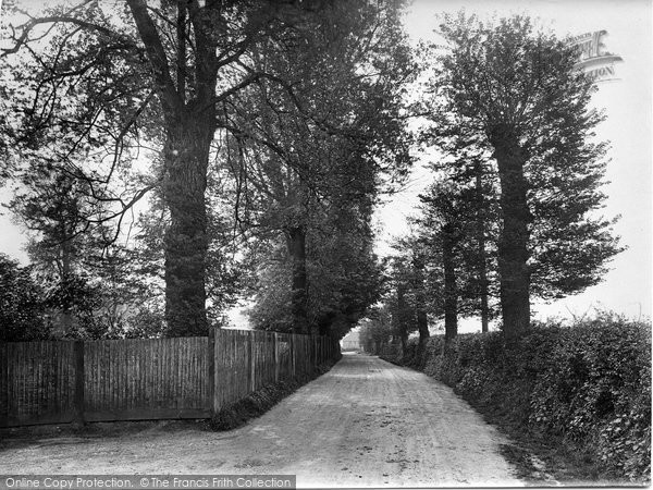 Photo of Stoughton, Grange Lane 1925