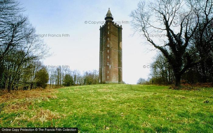 Photo of Stourhead, King Alfred's Tower, West Aspect c.1994