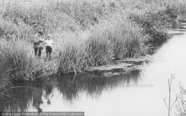 Photo of Stourpaine, The River Stour, Young Brothers Fishing  c.1960