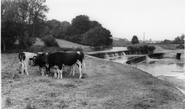 The Weir c.1960, Stourpaine
