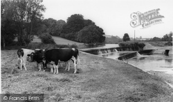 The Weir c.1960, Stourpaine