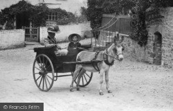 A Donkey Cart 1906, Stratton