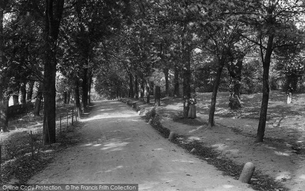 Photo of Streatham, Common, The Grove 1904