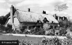 Thatched Cottages, Stubbington Lane c.1965, Stubbington