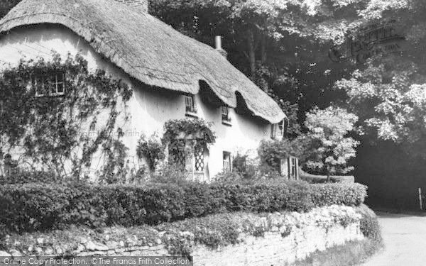 Photo of Studland, Thatched Cottages c.1960