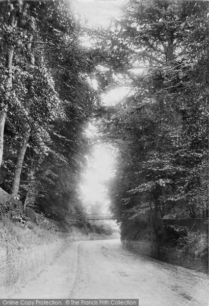Photo of Sunninghill, A Lane 1901