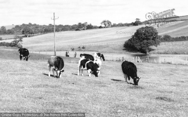 Photo of Sutton Bingham, The Reservoir c.1960