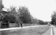 Cedar Road 1904, Sutton
