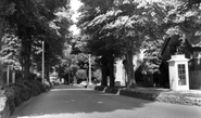 Cheam Road c.1960, Sutton