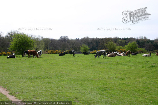 Photo of Sutton Coldfield, A Field In The Park 2005