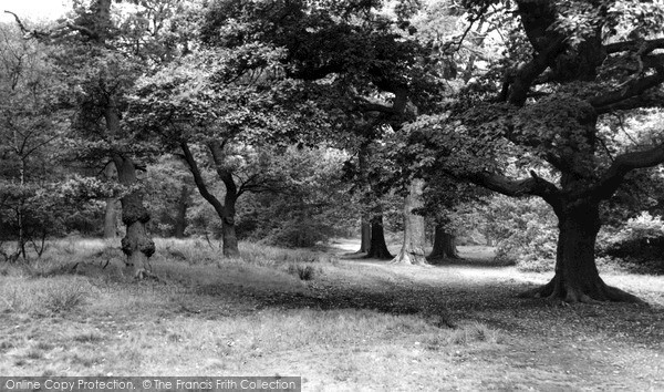 Photo of Sutton Coldfield, Gumslade, Sutton Park c.1965