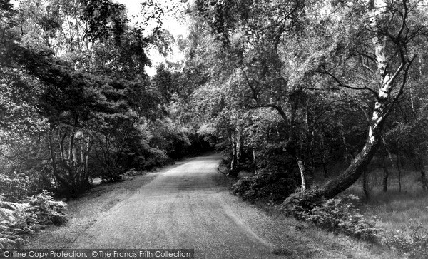 Photo of Sutton Coldfield, Sutton Park c.1960
