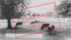 Sutton Park c.1960, Sutton Coldfield