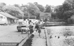 Wyndley Pool, Sutton Park, Feeding The Ducks c.1960, Sutton Coldfield