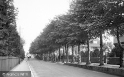 Devonshire Avenue 1913, Sutton