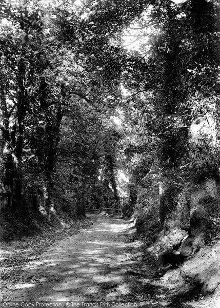 Photo of Sutton, Gander Green Lane 1903