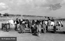 Donkeys, The Beach c.1955, Sutton On Sea