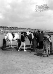 Horses And Donkeys, The Beach c.1965, Sutton On Sea