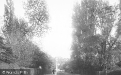 Sutton Common Road 1896, Sutton