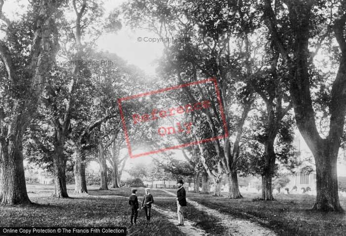 Photo of Swaffham, Avenue 1891