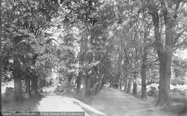 Photo of Swaffham, Church And Avenue 1891