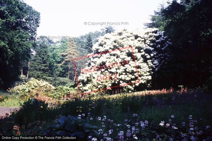 Photo of Swansea, Clyne Gardens c.1985