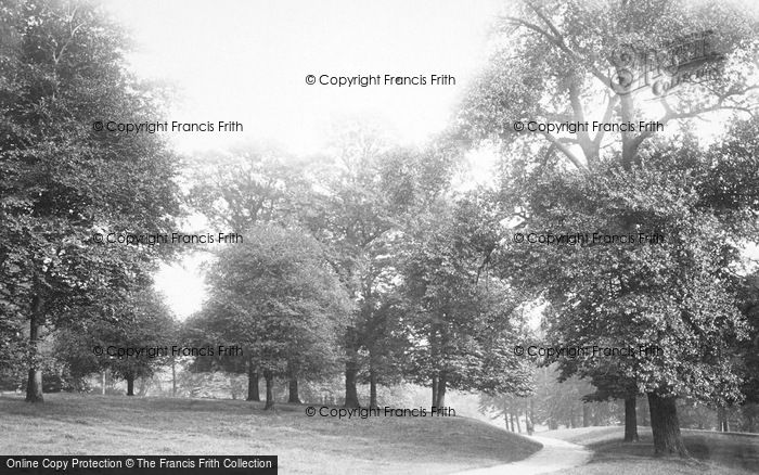 Photo of Swinton, The Park 1894