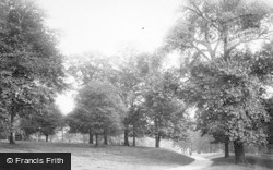 The Park 1894, Swinton