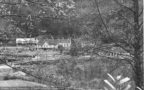 Photo of Symonds Yat, A Peep Through The Trees c.1955