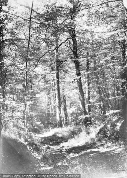 Photo of Symonds Yat, The Forest Of Dean c.1955