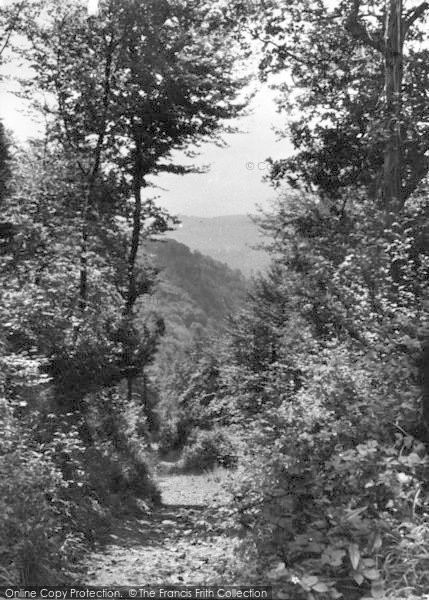 Photo of Symonds Yat, The Path To Yat Rock c.1955