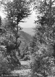 The Path To Yat Rock c.1955, Symonds Yat