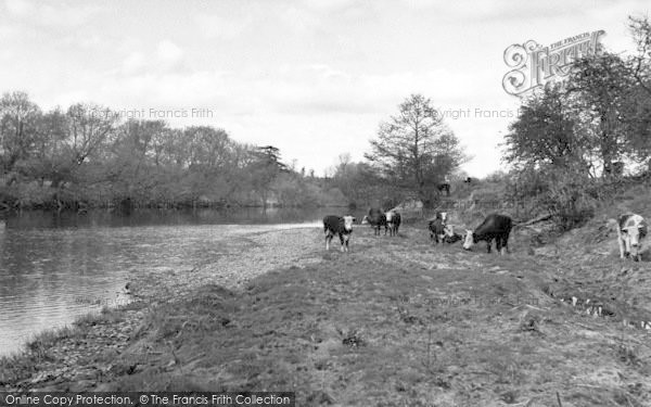 Photo of Symonds Yat, The River Wye c.1960