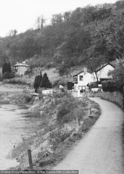 Photo of Symonds Yat, The Riverside c.1955