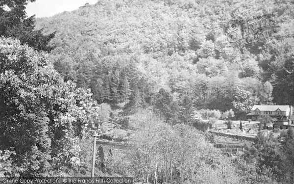 Photo of Symonds Yat, The View From The Woodlea Guest House c.1955