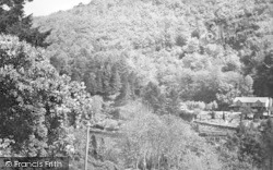 The View From The Woodlea Guest House c.1955, Symonds Yat