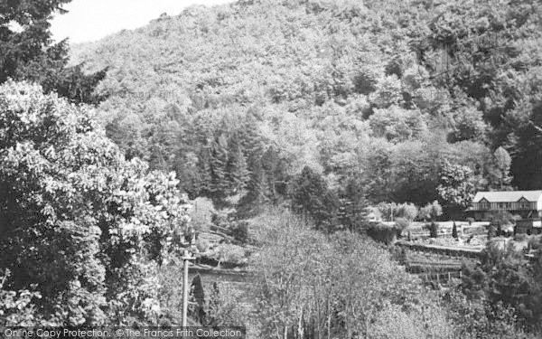Photo of Symonds Yat, The View From Woodlea Guest House c.1955