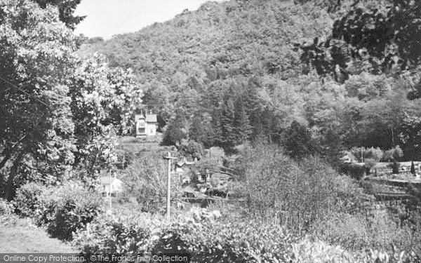 Photo of Symonds Yat, The View From Woodlea Guest House c.1955