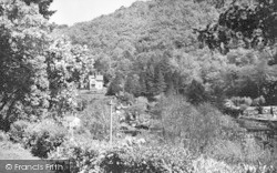 The View From Woodlea Guest House c.1955, Symonds Yat