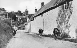 Village c.1950, Symondsbury