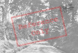 Epsom Lane 1932, Tadworth