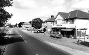 The Ashes And Shops c.1965, Takeley