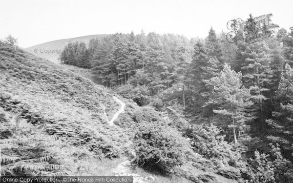 Photo of Tal Y Llyn, Path To Dol Y Cae Waterfall 1955