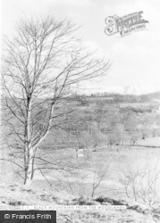 Black Mountains From The Woods c.1960, Talgarth