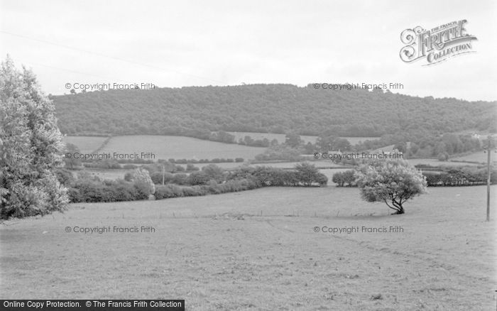 Photo of Talgarth, Park Wood 1955