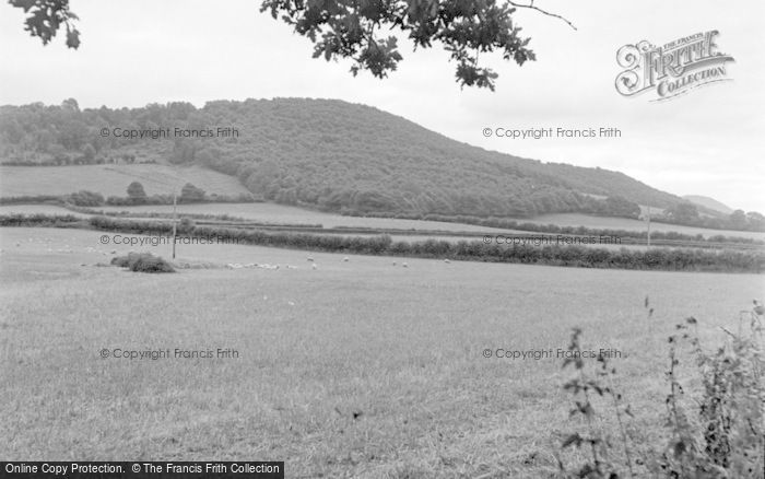 Photo of Talgarth, Park Wood 1955