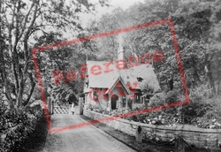 Plas The Lodge 1930, Tan-Y-Bwlch